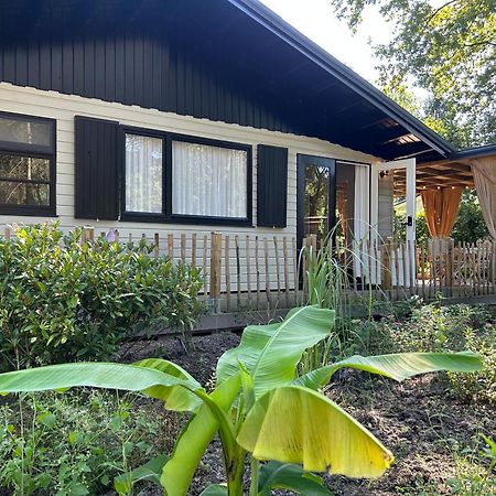 Chalet Maurice زوتيندال المظهر الخارجي الصورة